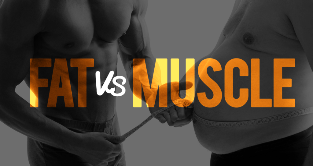 Fat Vs. Muscle: Understanding The Truth Behind The Images