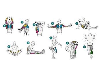 warm up exercises before gym