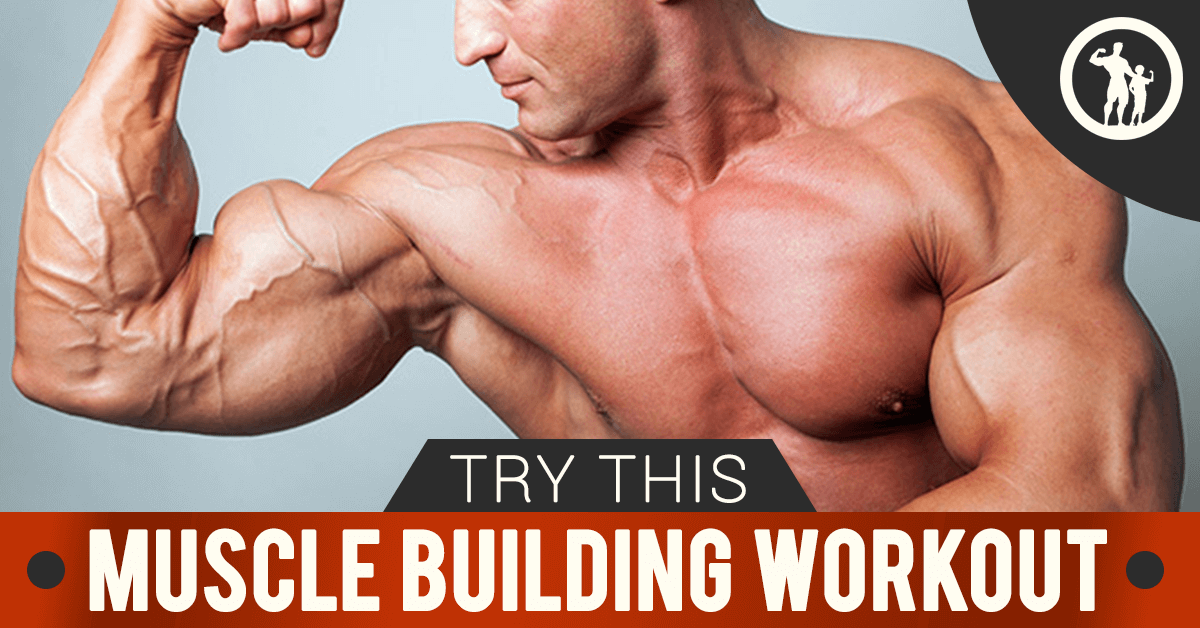 BICEPS, TRICEPS & SHOULDERS WORKOUT 🏋️ Buff Dudes Home Gym Plan