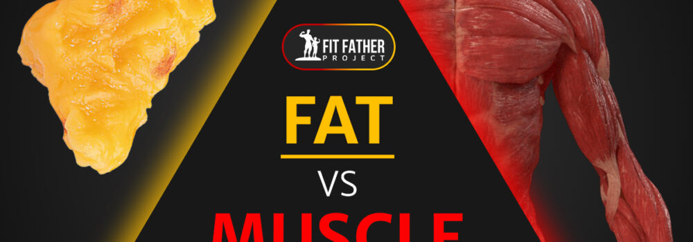 fat vs muscle