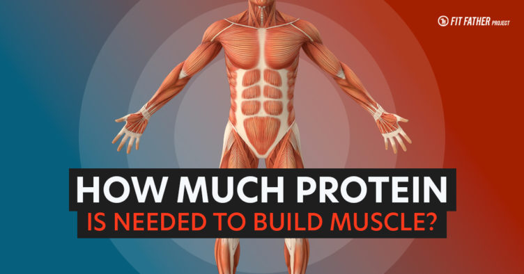 How Much Protein To Build Muscle Getting Exactly What You Need